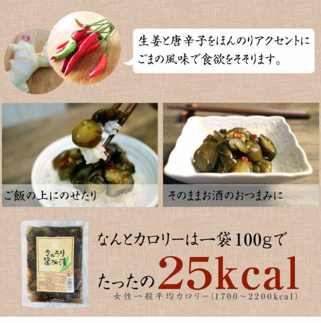 漬け物 宮崎産 きゅうりの醤油漬け 100g×2袋セット 生産量日本一 宮崎 きゅうり 醤油漬け 漬物 九州 ご飯の友 つけもの 送料無料  タマチの通販はau PAY マーケット - タマチャンショップ