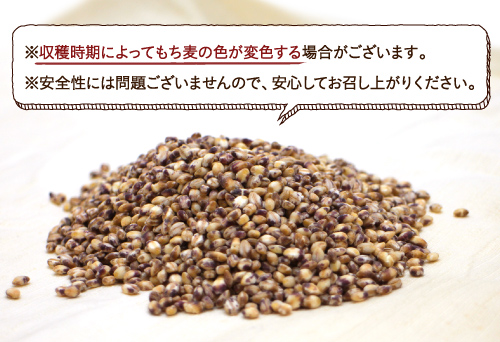 【送料無料】もち麦5kg(250g×20袋) 無添加 令和3年産/徳島県産　もっちりプチプチとした食感と食物繊維が豊富！agesugi_sgu_4