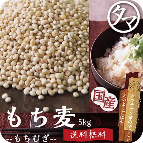 【送料無料】もち麦5kg(250g×20袋) 無添加 令和3年産/愛媛県・香川県産　もっちりプチプチとした食感と食物繊維が豊富！