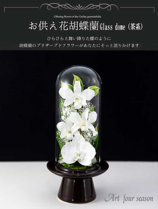 初盆 新盆 Glassdome お供え花 お彼岸 お悔やみ ブリザードフラワー プリザーブドフラワー 仏花 初七日 弔電 法事 法要 胡蝶蘭 花 94 Off 仏花