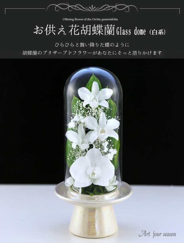 初盆 仏花 お供え花 胡蝶蘭 Glassdome プリザーブドフラワー お供え 仏壇用 プリザーブドフラワー ケース 法事 供花 喪中はがき おの通販はau Pay マーケット アートフォーシーズン