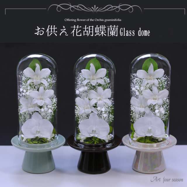 プリザーブドフラワー 仏花 お供え 仏壇用 プリザーブドフラワー ケース 【胡蝶蘭Glass】 法事 供花 喪中はがき お悔やみ 枕花 初盆 新盆