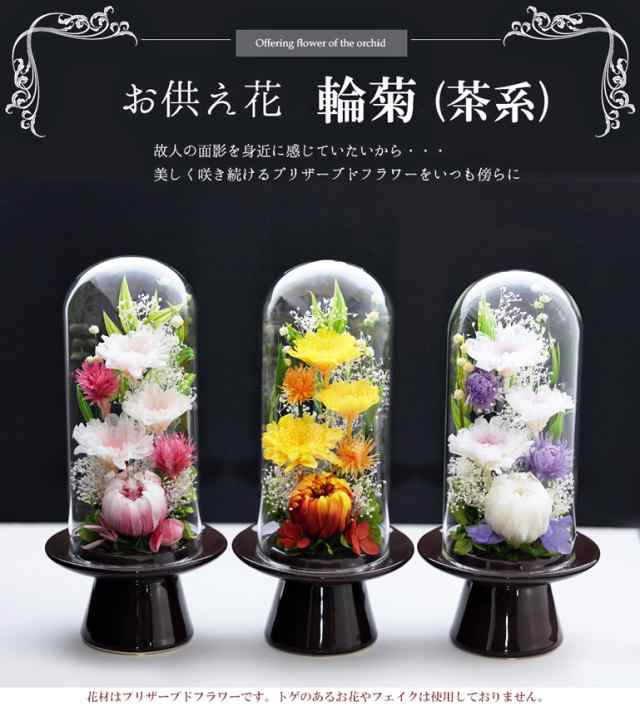 初盆 新盆 仏花 輪菊 Glassdome プリザーブドフラワー お供え花 即日配送 お供え 仏壇用 プリザーブドフラワー ケース 法事 供花 喪の通販はau Pay マーケット アートフォーシーズン