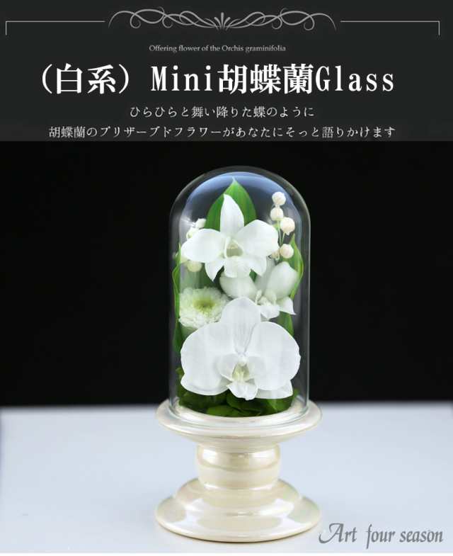 独特の上品 アートフォーシーズン 仏花 （茶系）Mini胡蝶蘭ミニglass