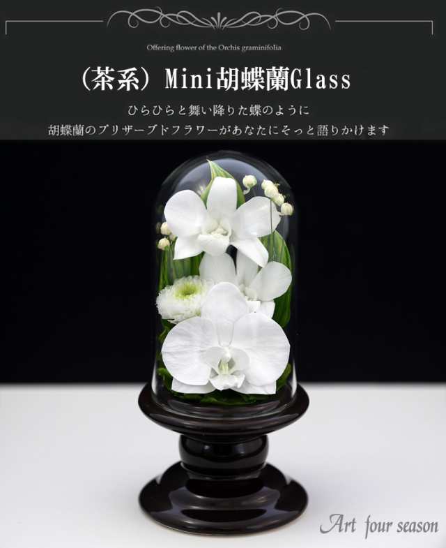 アートフォーシーズン 仏花 （茶系）Mini胡蝶蘭ミニglass 【対デザイン