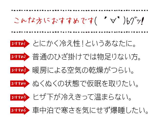 誤って 簡潔な 小数 車 シガー ソケット 電気 毛布 Casagranaio Com