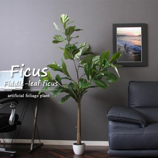 観葉植物 フェイク フェイクグリーン フィカス カシワバゴム Fbc 造花 インテリアの通販はau Pay マーケット い草屋さんこたつ屋さん