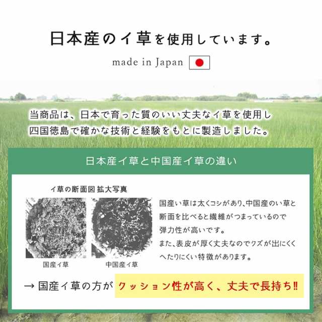 い草 スリッパ 父の日 ギフトスリッパ い草スリッパ うず 格子 ｌサイズ 室内用 消臭 さわやか プレゼント 父の日 敬老の日 ギフトの通販はau Pay マーケット い草屋さんこたつ屋さん