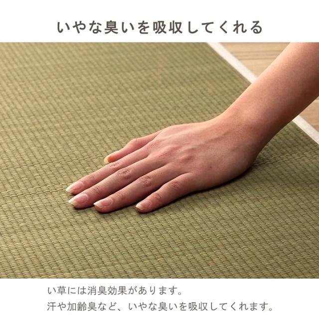 玄関マット 室内 ラグマット ラグ 抗菌 防臭 消臭 キッチンマット エントランスマット 新築祝い プレゼント 「みらい マルチマット 35×180cm」_5