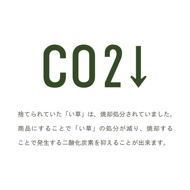 ラグ 夏 い草 ラグ カーペット 「みらい ラグ 140×210cm」い草 ラグ 夏 ラグ 夏用 い草ラグ 市 い草カーペット い草 人気 モダン 和モダン_11