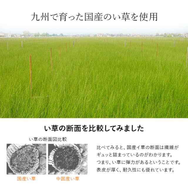 い草シーツ 寝ござ い草 シーツ 「 いやし 」 130×200cm 寝 日本製