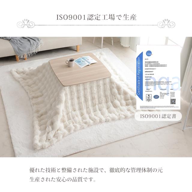 こたつ布団 正方形 こたつ掛布団 こたつ もこもこ 「 ラピアスプレミアム こたつ掛け毛布 」 180×180cm ふわふわ とろとろ 洗える おしゃれ かわいい コタツ布団 白 フェイクファー 省エネ 韓国インテリア 新生活_13