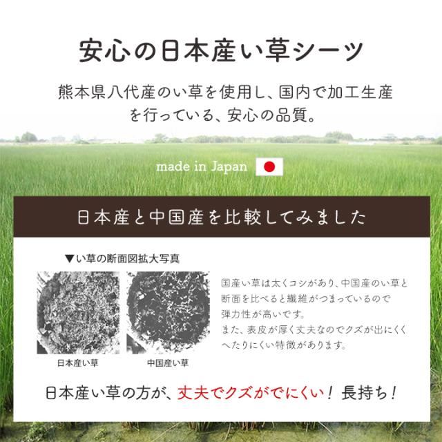 い草 シーツ シングル 寝ござ 国産 ねござ 日本製 熊本県八代産 「 リルマ 2枚組 」 約 88×180cm 5色展開 いぐさ イ草 イグサ い草シーツ シングル 夏用 敷きパッド ござ 寝汗 ネゴザ 畳 ラグ 1畳 シーツ 夏用 母の日_2