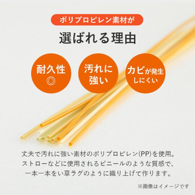 ラグ 夏 ござ 洗える 本間10畳 ラグ 日本製 夏用 夏ラグ 「 レウィル 」 ラグマット おしゃれ 洗えるカーペット 夏 い草風 い草調 和室 ペット ゴザ_2