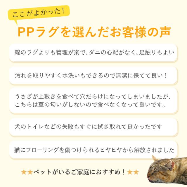 ラグ 夏 ござ 洗える 本間10畳 ラグ 日本製 夏用 夏ラグ 「 レウィル 」 ラグマット おしゃれ 洗えるカーペット 夏 い草風 い草調 和室 ペット ゴザ_3