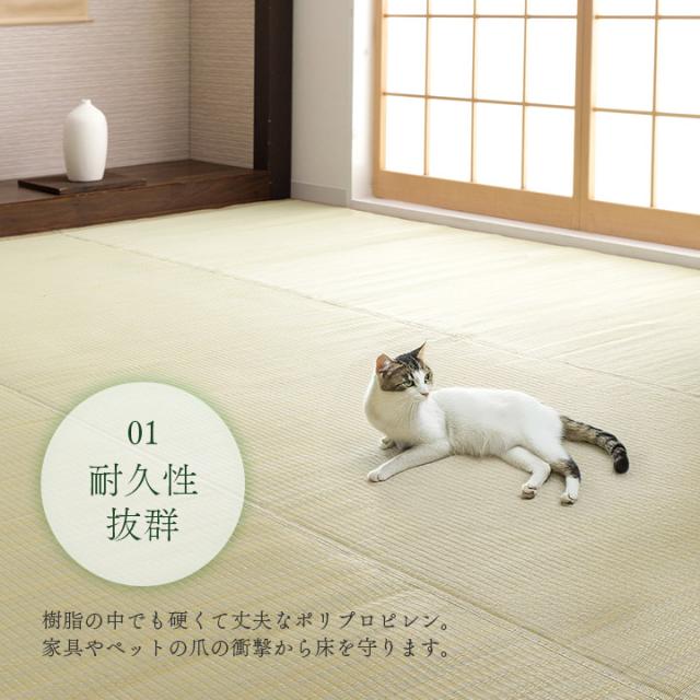 ラグ 夏 ござ 洗える 本間10畳 ラグ 日本製 夏用 夏ラグ 「 レウィル 」 ラグマット おしゃれ 洗えるカーペット 夏 い草風 い草調 和室 ペット ゴザ_4