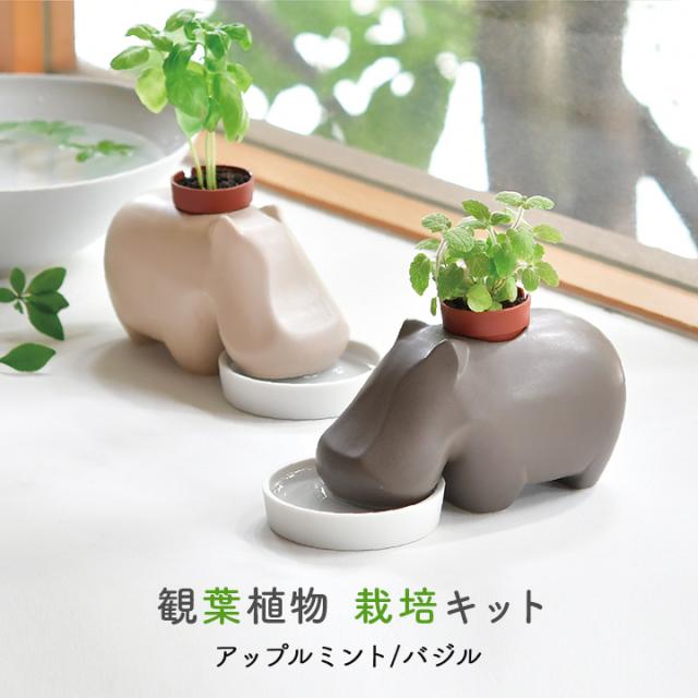 笠間焼【女流陶芸家】【小林一富美】作 にわとり 鶏 香合 共箱