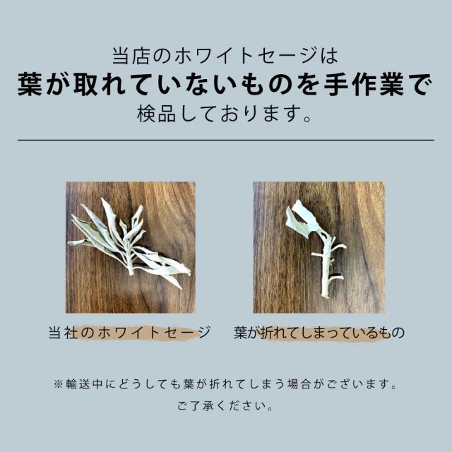 ホワイトセージ 浄化用 カリフォルニア産 無農薬 50g 高品質
