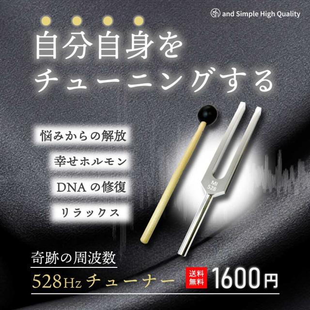 音叉 周波数 528hz ソルフェジオ周波数 チューナー 音叉 528hz Tuning