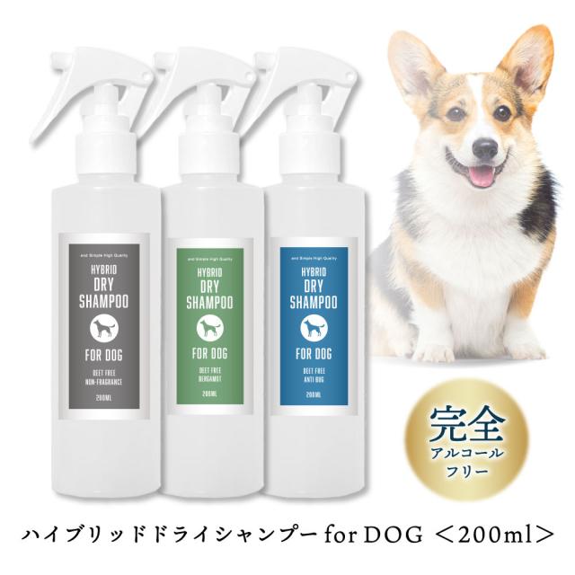 水のいらないシニアの泡シャン無香料200ml 5個 Amazon | ピーエヌ (PN) 水のいらないワンコの泡シャン無香料