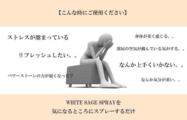オーガニック ホワイト セージ 使用 ホワイトセージ スプレー 100ml アンドエスエイチ 浄化用 無農薬 カリフォルニア産 ナチュラル ヒーの通販はau Pay マーケット スタイルキューブ