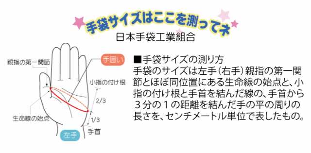 売り切れ必至! ユニワールド 背抜き手袋 18G編み天然ゴム背抜き手袋 5013 5017 5021