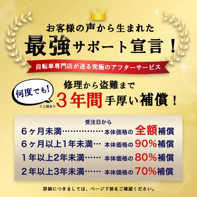 【メーカー直売】電動アシスト三輪自転車 AOSL203_1