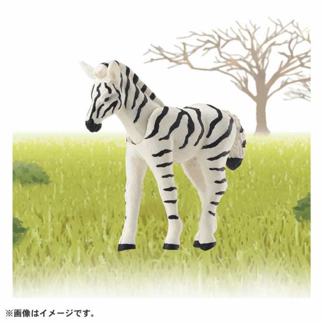 楽しく遊べる動物フィギュアシリーズ ／アニア／AC-08／シマウマ