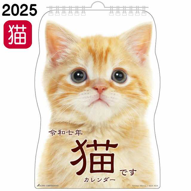 カレンダー 2023 壁掛け 猫 2023年 令和5年 日本製 日曜始まり 猫 
