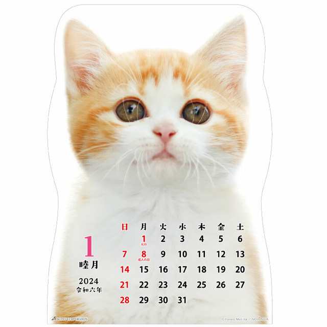カレンダー 2023 壁掛け 猫 2023年 令和5年 日本製 日曜始まり 猫 