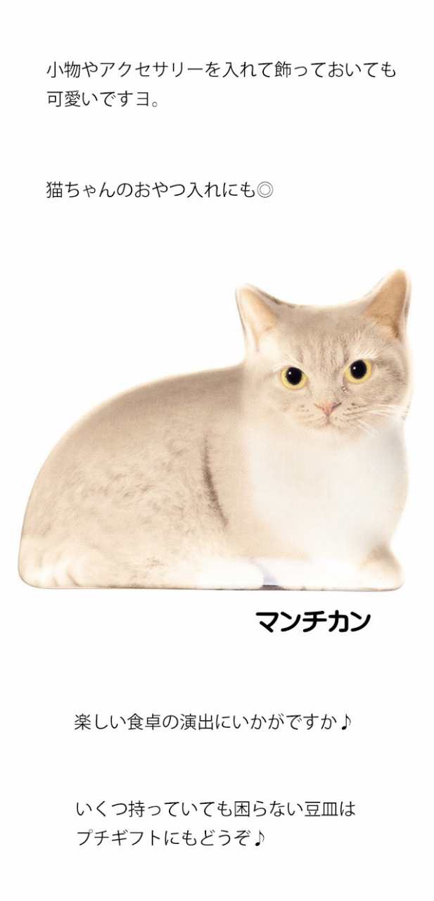 豆皿 小皿 プレート 食器 DECOLE リアル猫 転写 陶器 電子レンジOK 箱入り 猫 雑貨 小物 グッズ ねこ ネコ 猫柄 猫雑貨 猫グッズ|au PAY マーケット