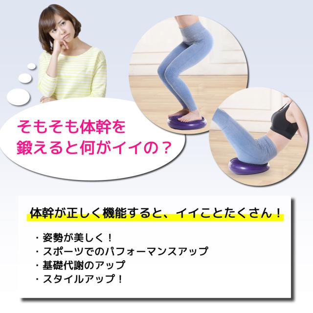 バランスクッション バランスディスク 空気入れ 2点セット おうち時間 トレーニング 器具 ストレッチ ダイエット グッズ 体幹 骨盤 運動 の通販はau Pay マーケット Teddyshop