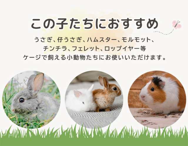 うさぎ　モルモット　ハリネズミ　ゲージ