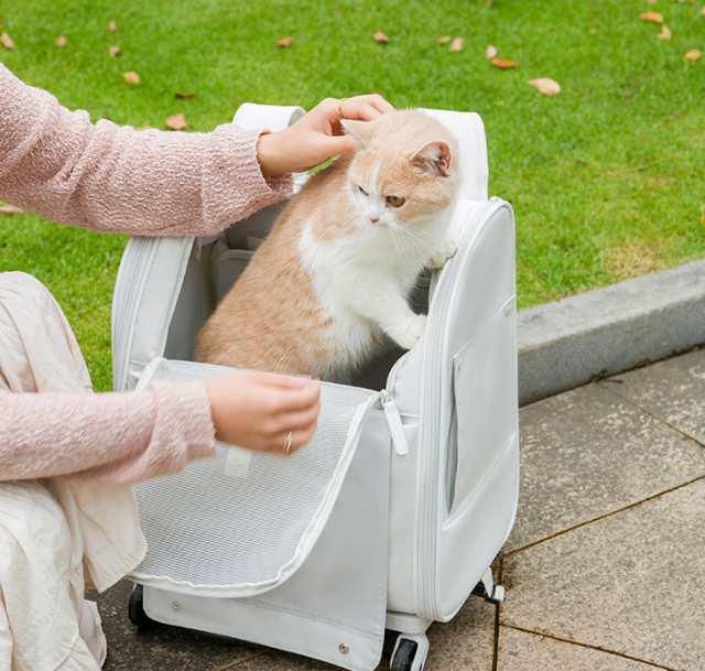 即納 ペットキャリー 猫 小型犬 リュック キャスター ペットグッズ