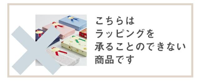 すすめゾウさん 3503 プラントイ PLANTOYS 乗用玩具 乗り物 象 どうぶつ 動物 木のおもちゃ 木製玩具 知育玩具 ギフト プレゼント_4