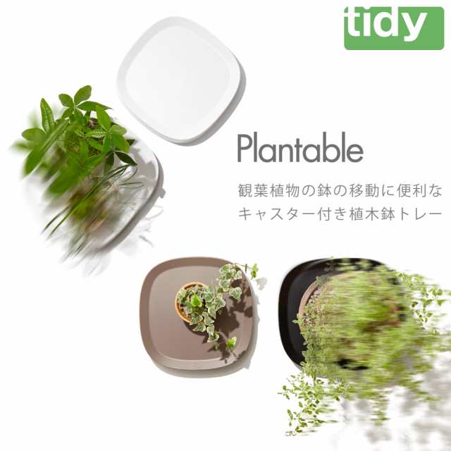 便利なキャスター付きトレー L プランタブル 植木鉢トレイ 台車 ホワイト tidy（ティディー）日本製 1個 テラモト