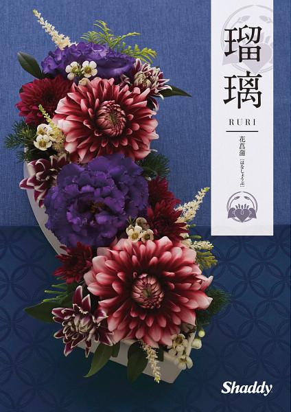 内祝 ギフト カタログギフト 送料無料 シャディ アズユーライク【和風】 花菖蒲（はなしょうぶ）AEOコース/ ギフトカタログ 御祝い 内祝い 結婚内祝い 出産内祝い 選べるギフト 法人向け 贈り物 プレゼント 引越し祝い 新築内祝い 快気祝い 快気内祝い_1