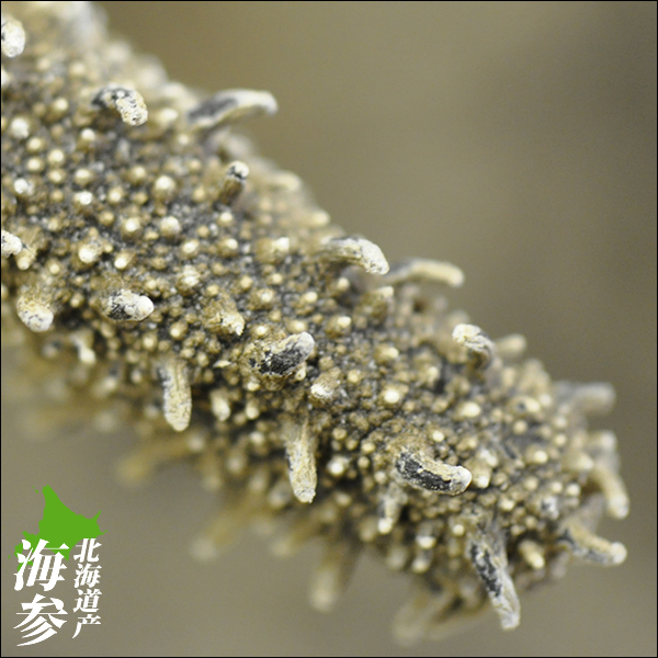 お歳暮 ギフト 珍味 送料無料 北海道産 天然 乾燥なまこ（A級品/M-L