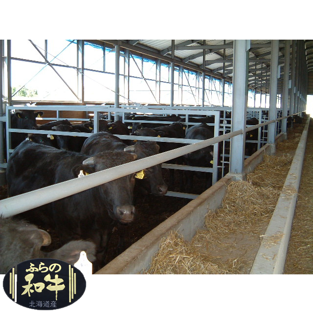 内祝い 差し上げ物 肉 貨物輸送無料 肉の山本 谷口農場 ふらの和牛 ふらの黒毛和牛肩ロース（鋤焼き用） / 母の日 内祝い しっぺい返し 差し上げ物 食物 一緒になる内祝い 生み出すこと内祝い 御受け答え 富良野和牛 鋤焼き スキヤキ すきやき 鍋 しっぺい返し gghp