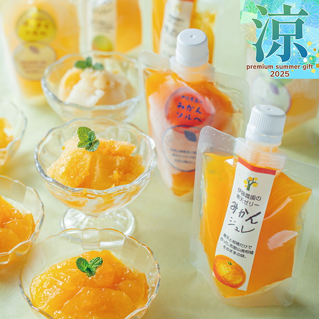 FRUiTS 29号 30号 セット 送料込み】【お歳暮ギフト】バラエティーセットV-023 (みかんジュース