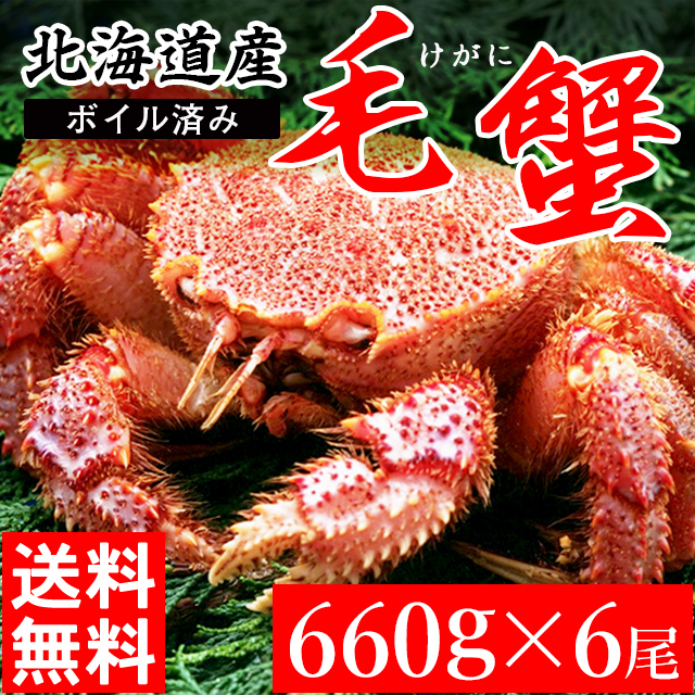 父の日 ギフト 送料無料 北海道産 毛ガニ 1尾 660g 6尾 海鮮 蟹 かに カニ 毛蟹 毛がに 北海道直送 毛ガニ 新鮮 海産物 内祝い 御祝の通販はau Pay マーケット ギフト グルメ北海道