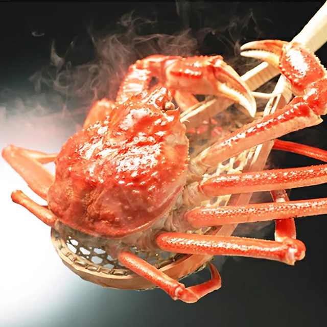 ギフト ロシア産 ズワイガニ １尾 660g 海鮮 ずわいがに ずわい蟹 茹で ボイル 冷凍 蟹 カニ かに 内祝いの通販はau Pay マーケット ギフト グルメ北海道