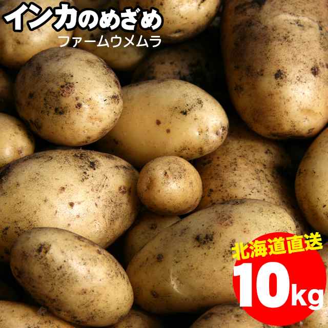 予約受付中　北海道産　１０キロ　１０ｋｇ　じゃがの通販はau　PAY　完熟　千歳ファーム・ウメムラ　送料無料　10kg　マーケット－通販サイト　ギフト＆グルメ北海道　PAY　マーケット　インカのめざめ【S/M/Lサイズ】1箱　2023年　au