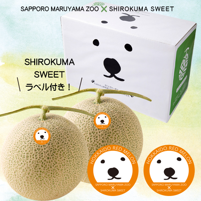 2026年予約 お中元 ギフト メロン 送料無料 SHIROKUMA SWEET 北海道産