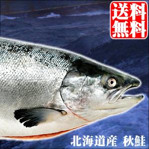2020年ご予約承り中 9月出荷開始 北海道産 【生】 秋鮭 (オス) 3.0kg