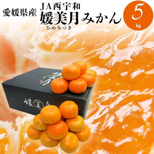 21年早期予約承り中 12月出荷開始 ギフト フルーツ みかん 送料無料 愛媛県ｊａ西宇和 媛美月みかん 約5kg 果物 青果 プレゼント ギの通販はau Pay マーケット ギフト グルメ北海道