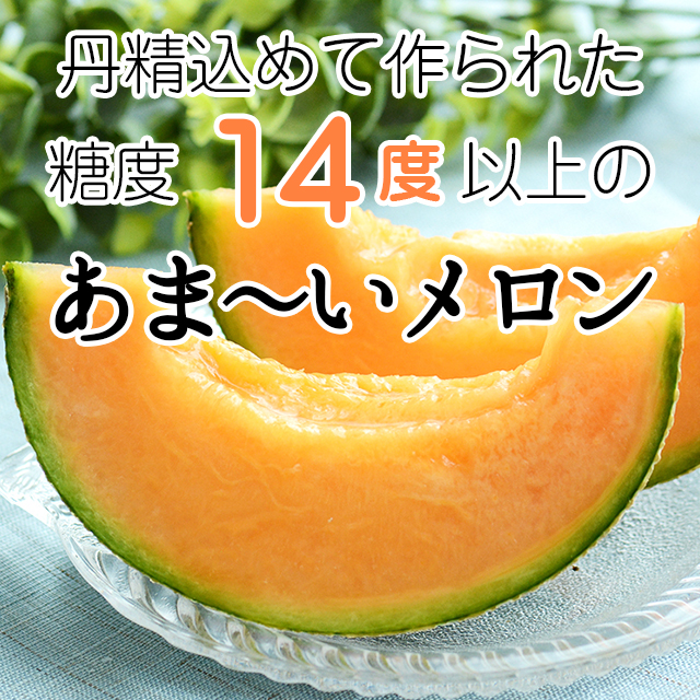 2026年予約 お中元 ギフト メロン 送料無料 SHIROKUMA SWEET 北海道産