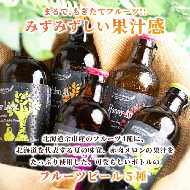 お中元 ギフト クラフトビール 送料無料 北海道フルーツビール6本 