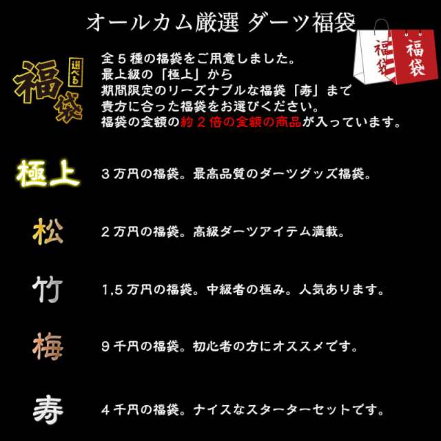 19 福袋 極上 ダーツ バレル ケース シャフト フライト チップ 年末年始 お買い得 プレゼント 正月の通販はau Pay マーケット インターネットショップallcam