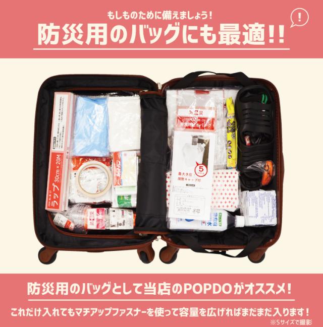 キャリーケース キャリーバッグ スーツケース Lサイズ 大型 送料無料